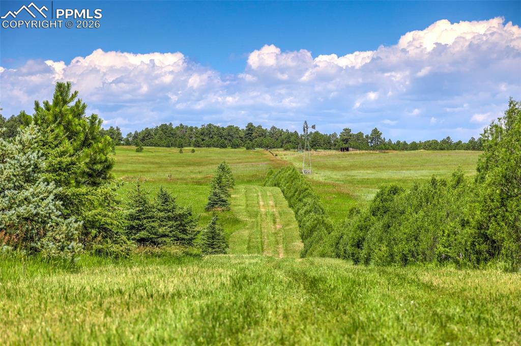 18135 Spur Ranch Road Peyton CO 80831