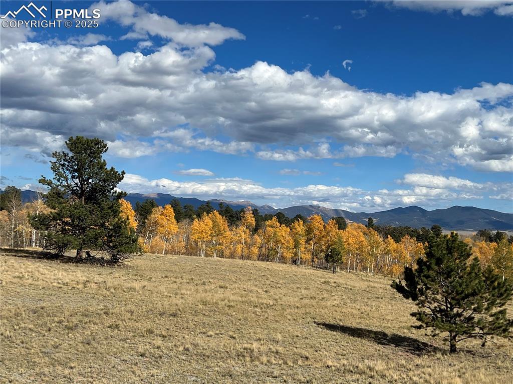 2387 Buffalo Ridge Road Como CO 80432