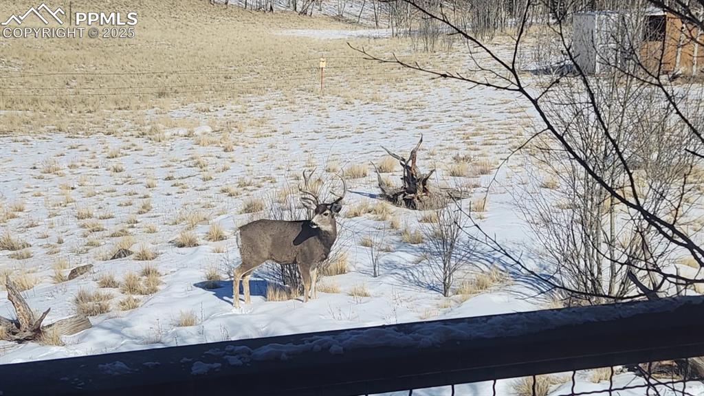 2387 Buffalo Ridge Road Como CO 80432