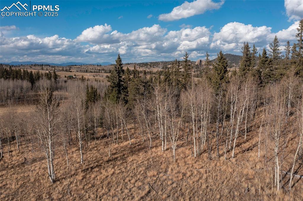 2387 Buffalo Ridge Road Como CO 80432
