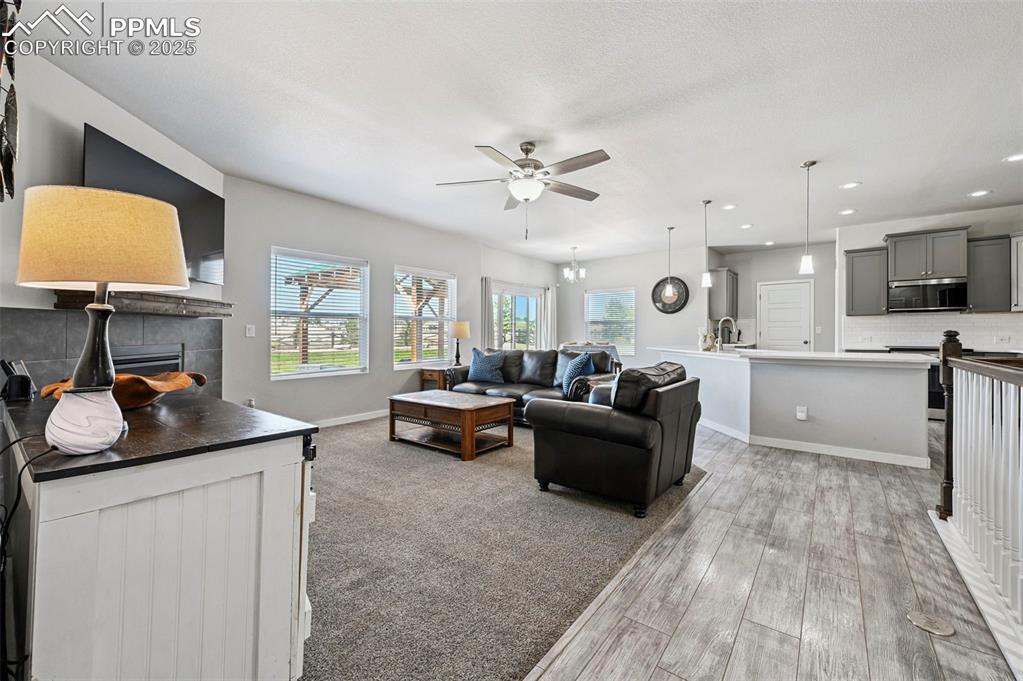 7472 Lewis Clark Trail Colorado Springs CO 80927