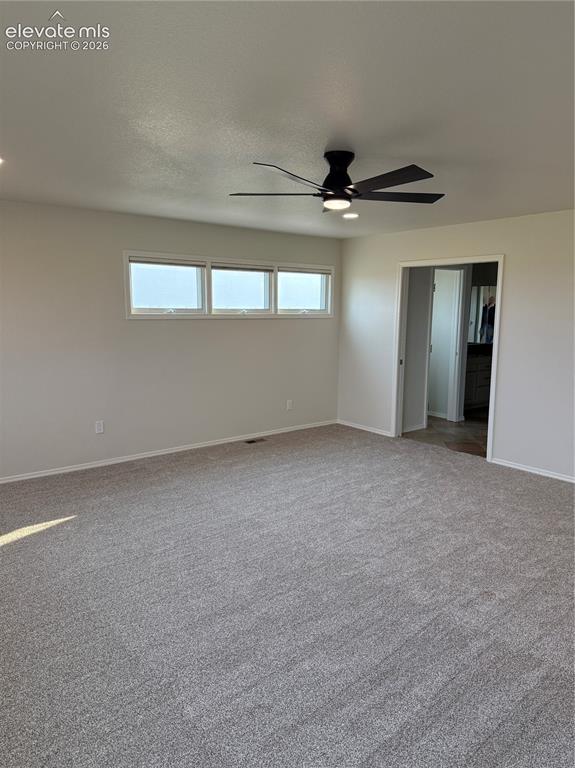 4531 Stewart Ranch Court Colorado Springs CO 80908