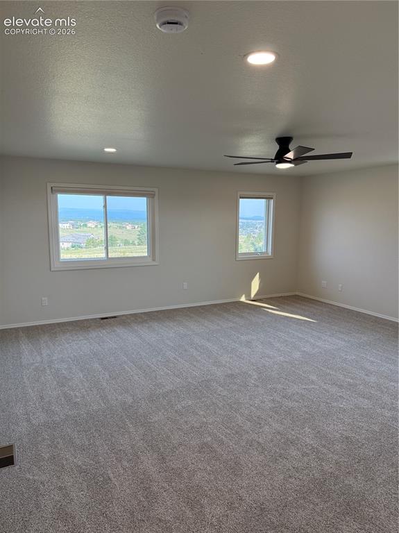 4531 Stewart Ranch Court Colorado Springs CO 80908
