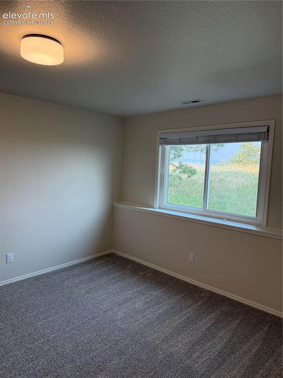 4531 Stewart Ranch Court Colorado Springs CO 80908