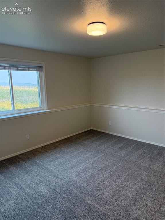 4531 Stewart Ranch Court Colorado Springs CO 80908