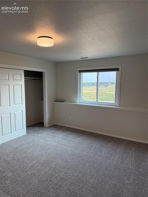 4531 Stewart Ranch Court Colorado Springs CO 80908