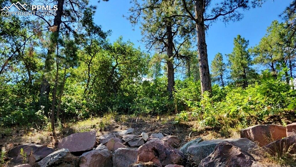 8946 Cottonwood Drive Beulah CO 81023