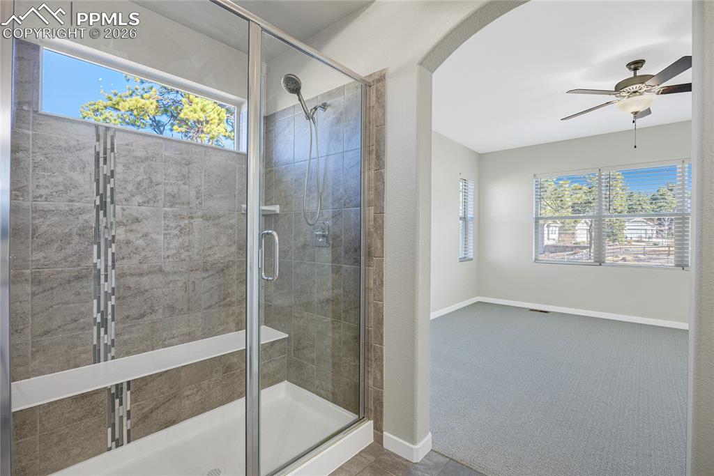 928 Graywoods Terrace Monument CO 80132