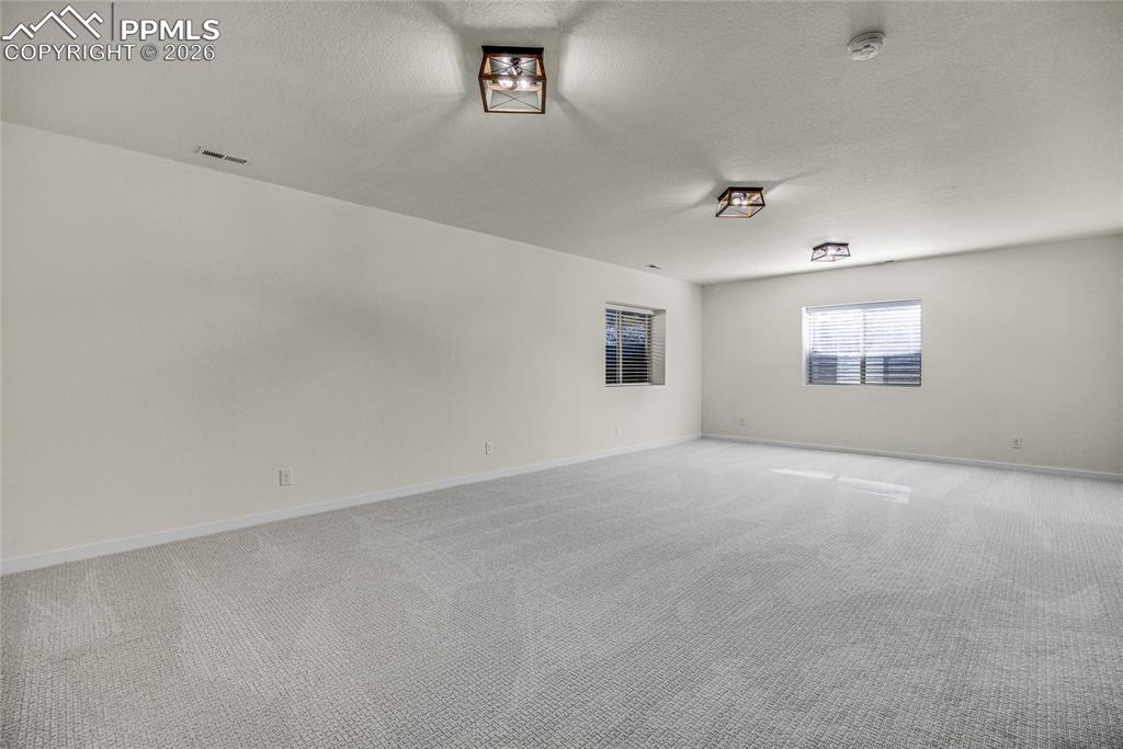 928 Graywoods Terrace Monument CO 80132