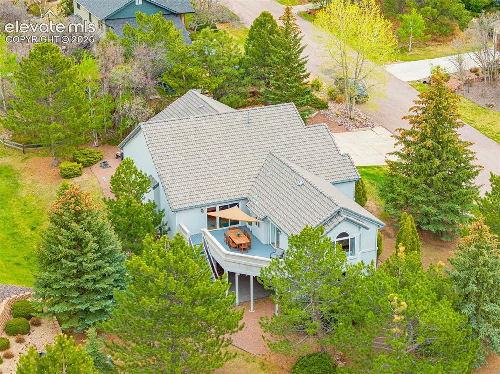 30 Palm Springs Drive Colorado Springs CO 80921