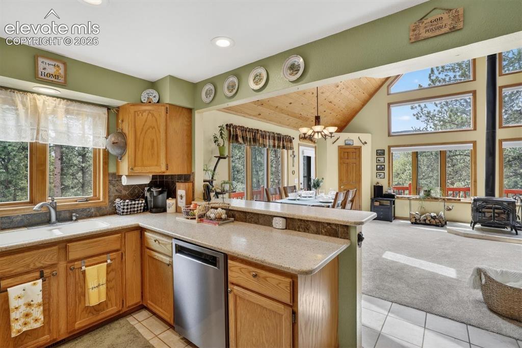 599 Vigilante Avenue Bailey CO 80421
