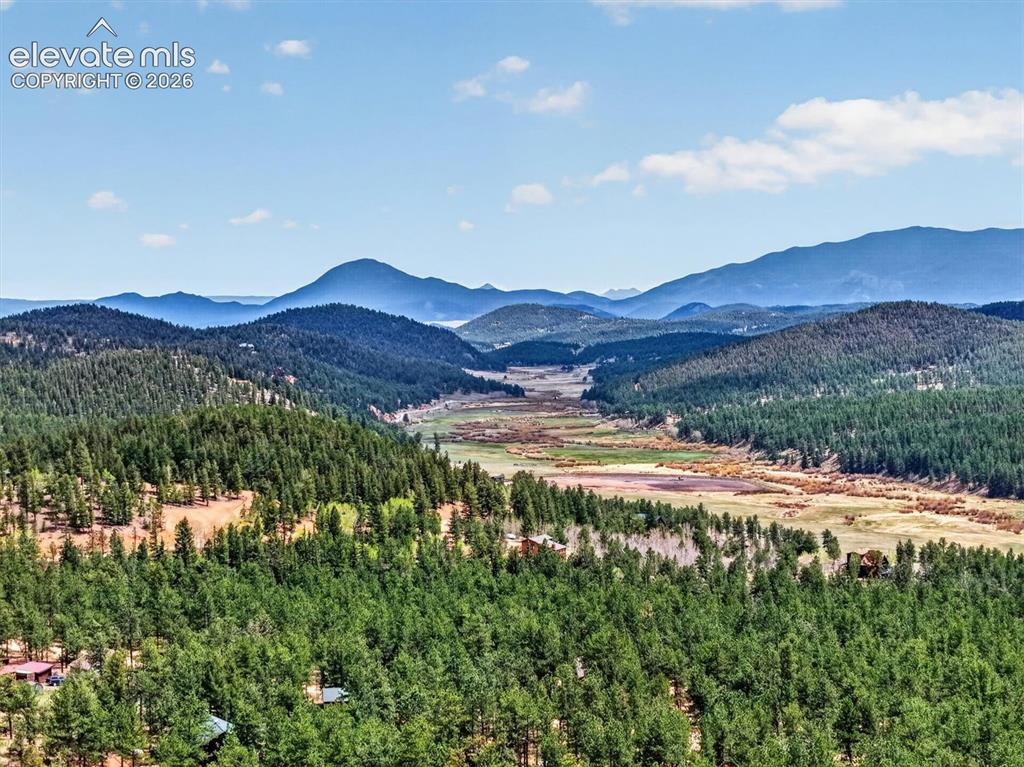 599 Vigilante Avenue Bailey CO 80421