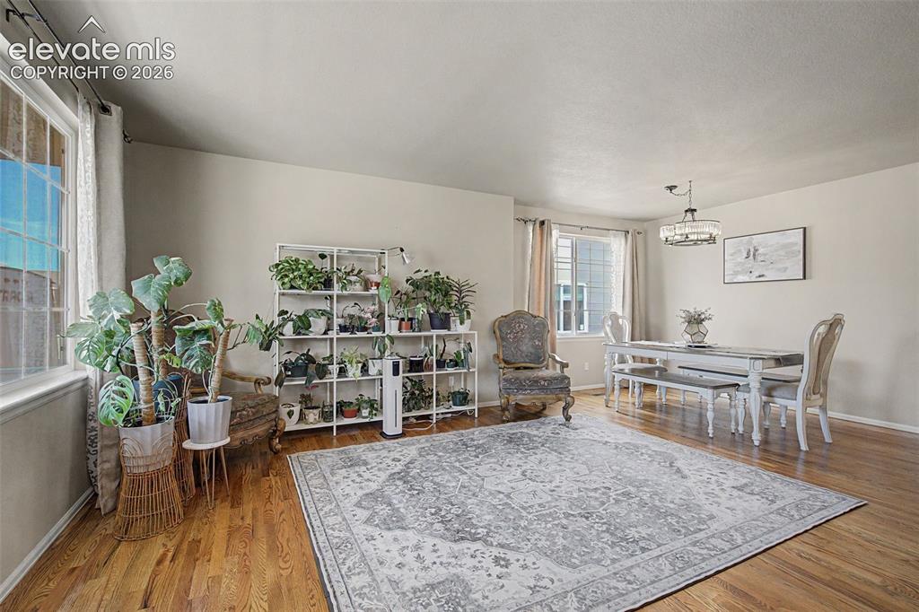 7848 Irish Drive Colorado Springs CO 80951