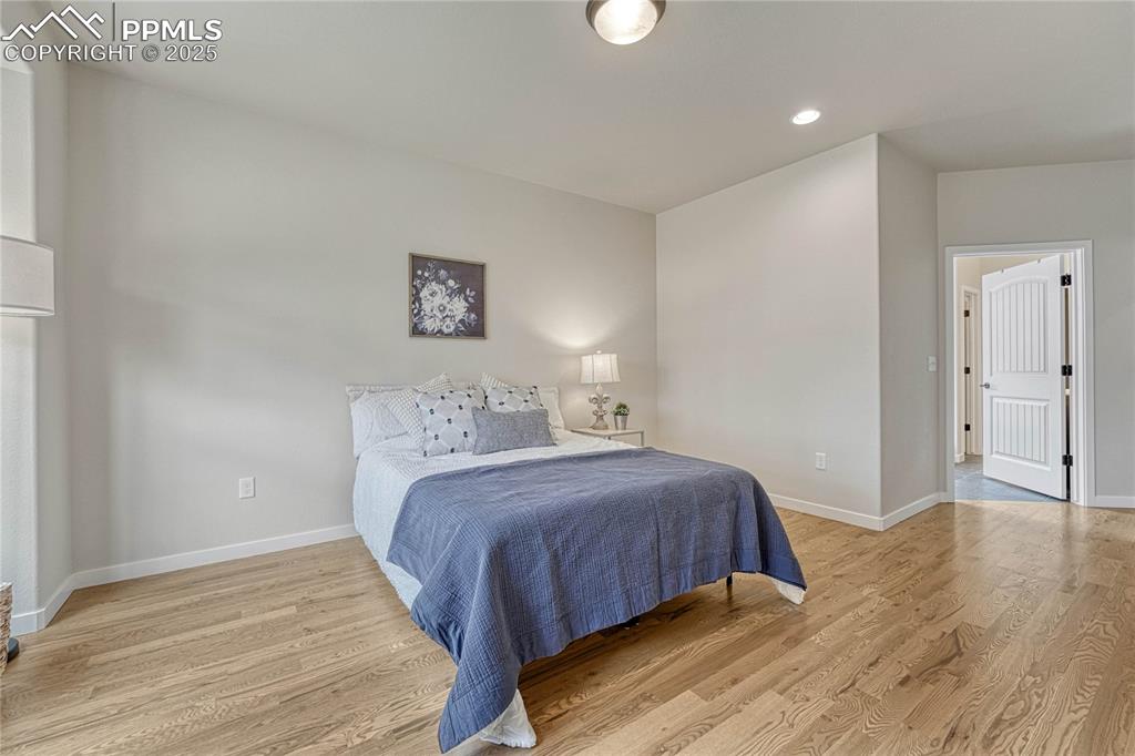 11149 Galaxy Hunter Drive Colorado Springs CO 80908