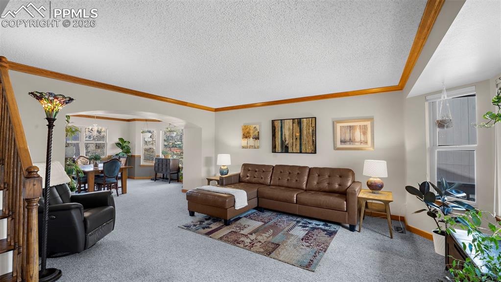 15390 Paddington Circle Colorado Springs CO 80921