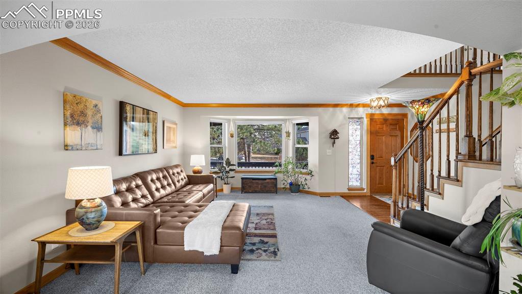 15390 Paddington Circle Colorado Springs CO 80921