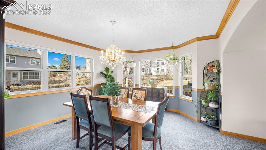 15390 Paddington Circle Colorado Springs CO 80921