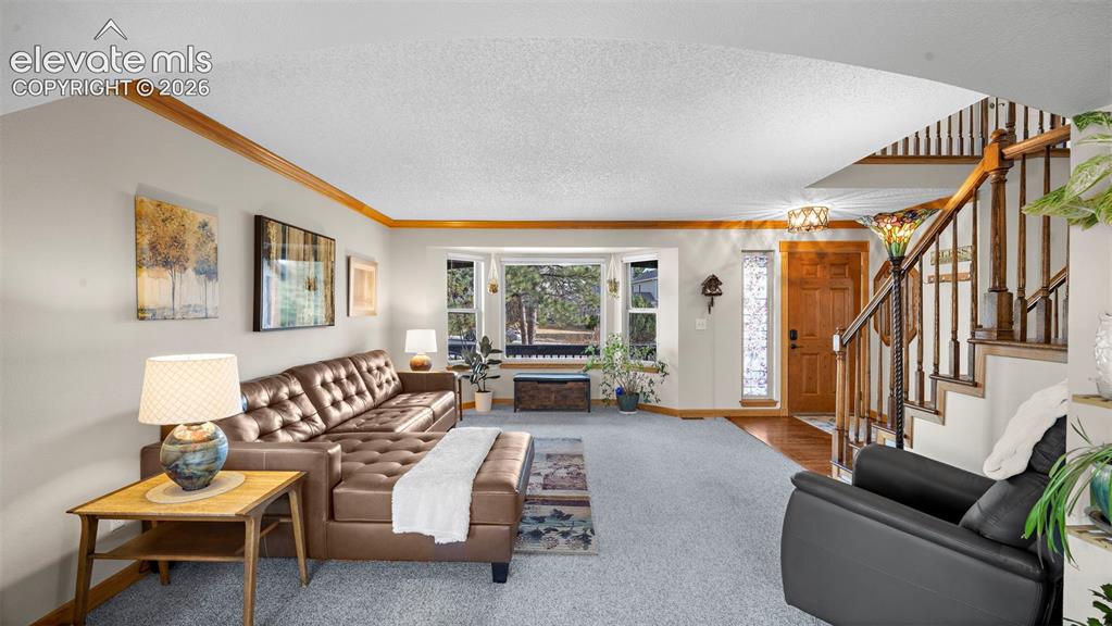 15390 Paddington Circle Colorado Springs CO 80921
