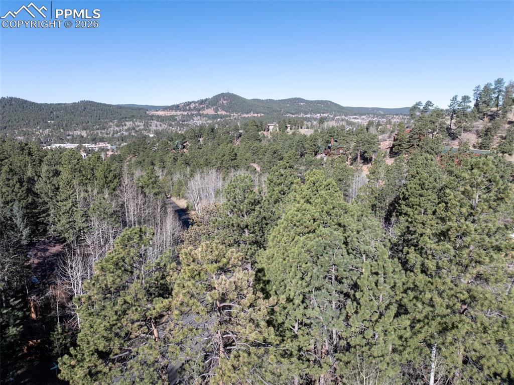 951 Kings Crown Road Woodland Park CO 80863