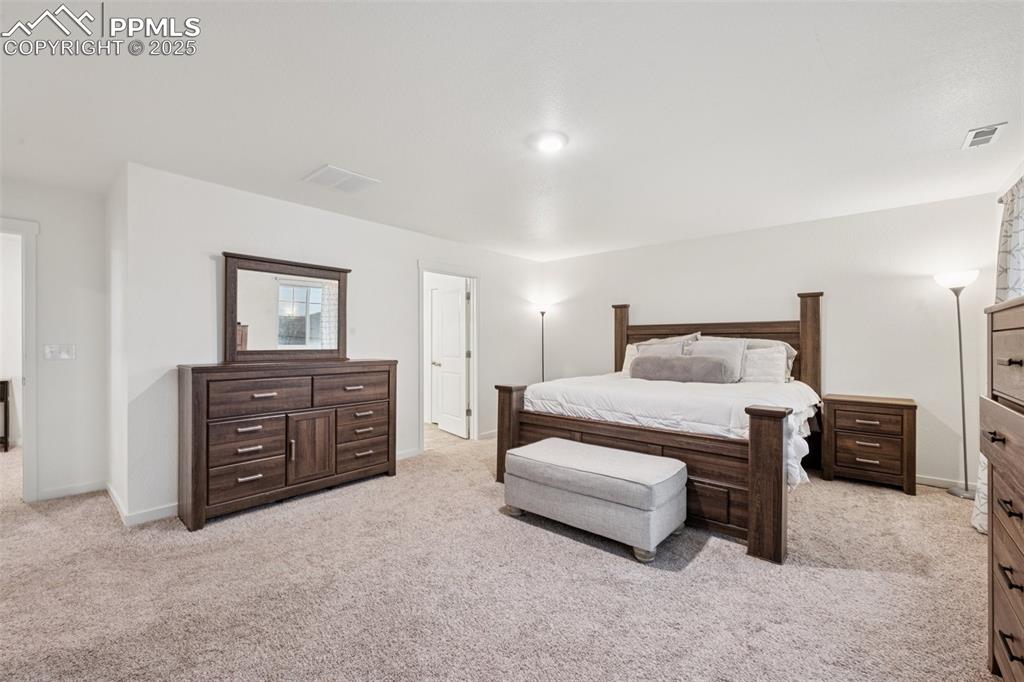 10105 Castor Drive Colorado Springs CO 80925