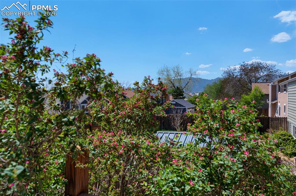 4405 Allesandro Drive Colorado Springs CO 80916