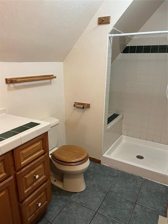 646 Grey Eagle Drive Cripple Creek CO 80813