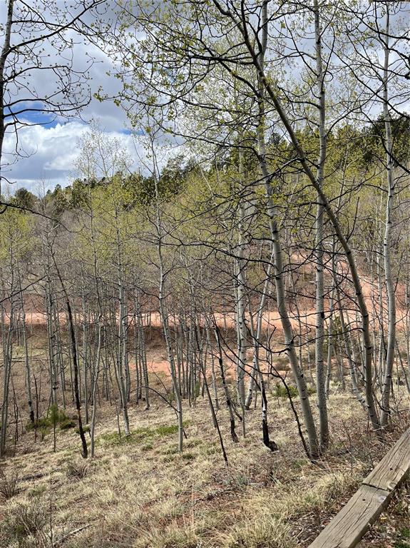 646 Grey Eagle Drive Cripple Creek CO 80813