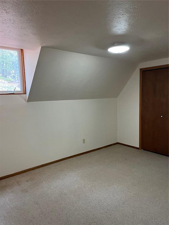 646 Grey Eagle Drive Cripple Creek CO 80813