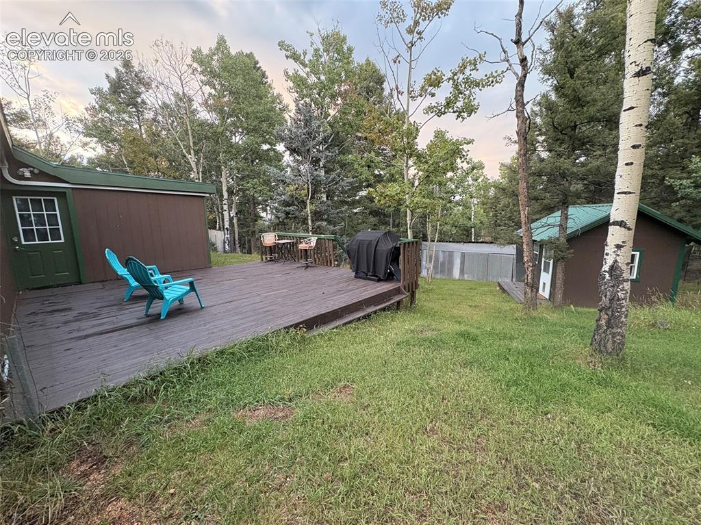 53 Iris Road Woodland Park CO 80863