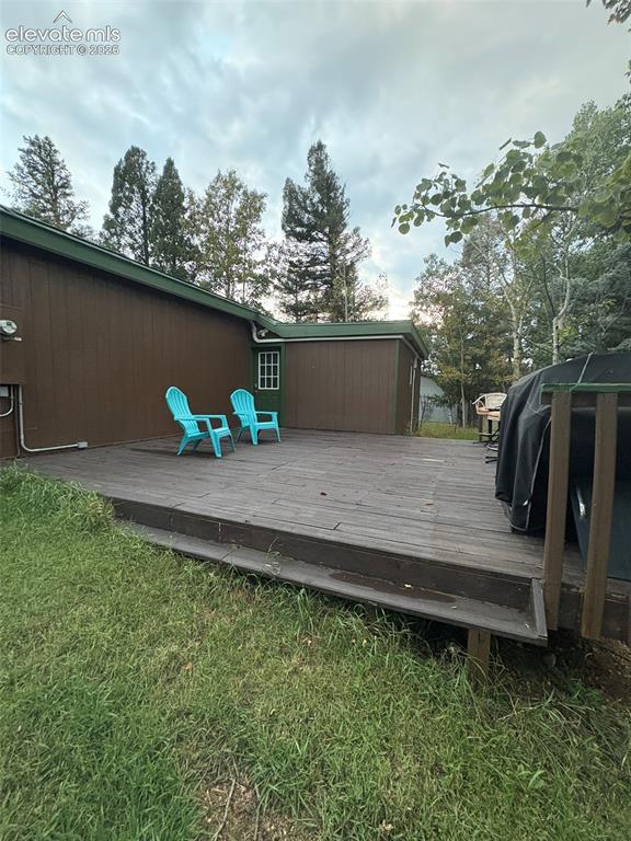 53 Iris Road Woodland Park CO 80863