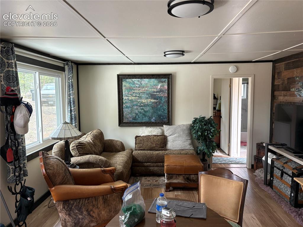 53 Iris Road Woodland Park CO 80863