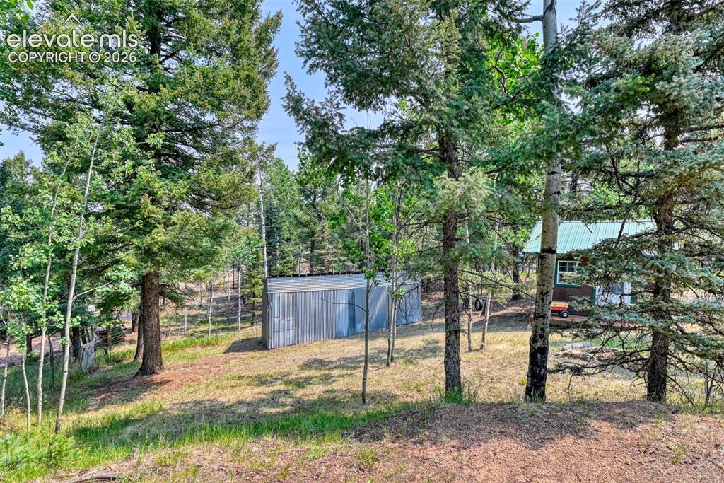 53 Iris Road Woodland Park CO 80863