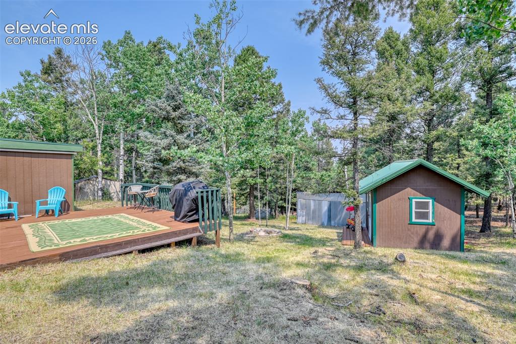 53 Iris Road Woodland Park CO 80863