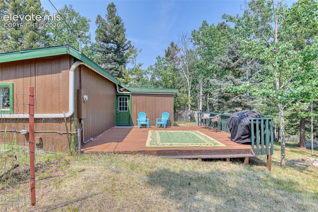 53 Iris Road Woodland Park CO 80863
