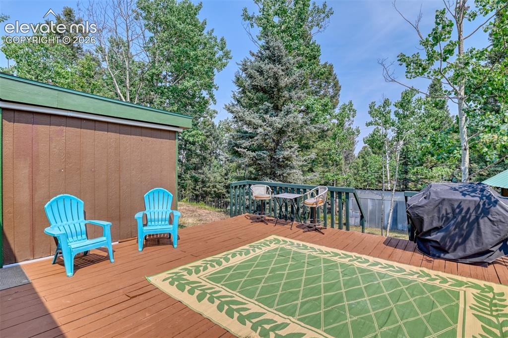 53 Iris Road Woodland Park CO 80863