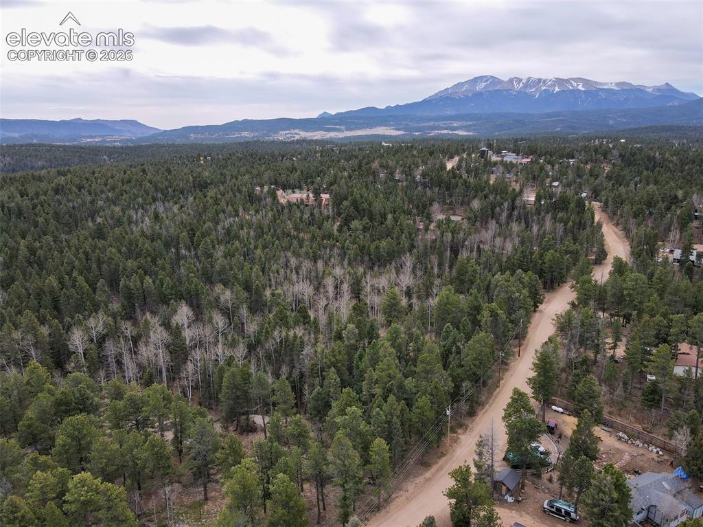53 Iris Road Woodland Park CO 80863