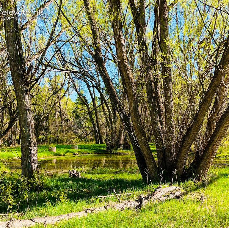222 Clio Avenue Palmer Lake CO 80133