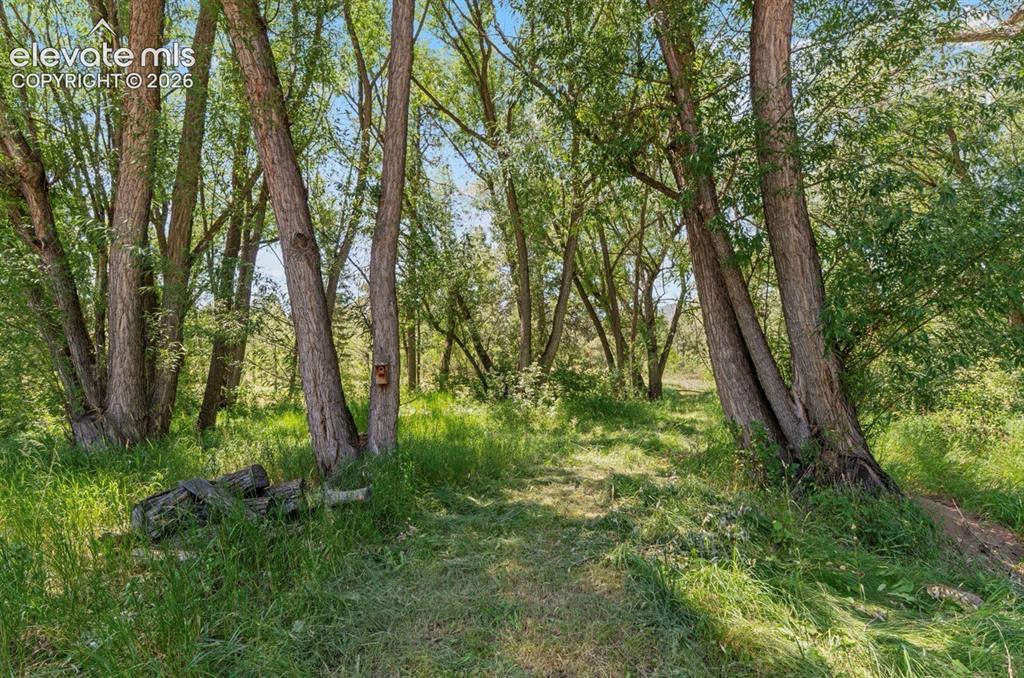 222 Clio Avenue Palmer Lake CO 80133