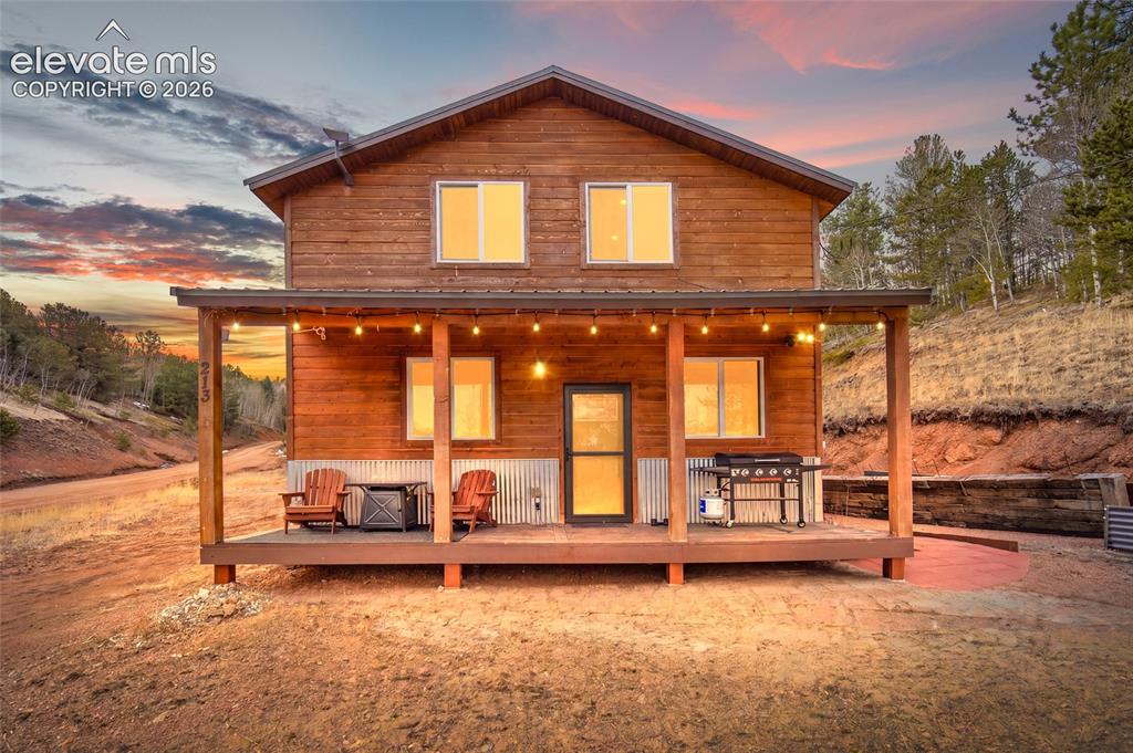 213 Willow Road Divide CO 80814