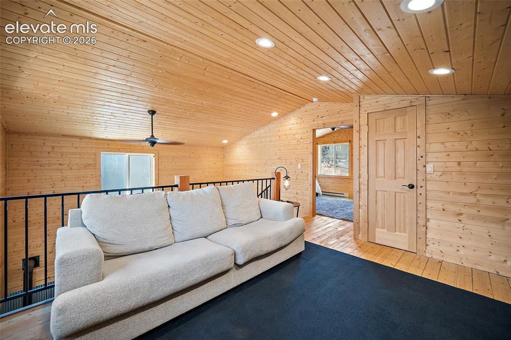 213 Willow Road Divide CO 80814