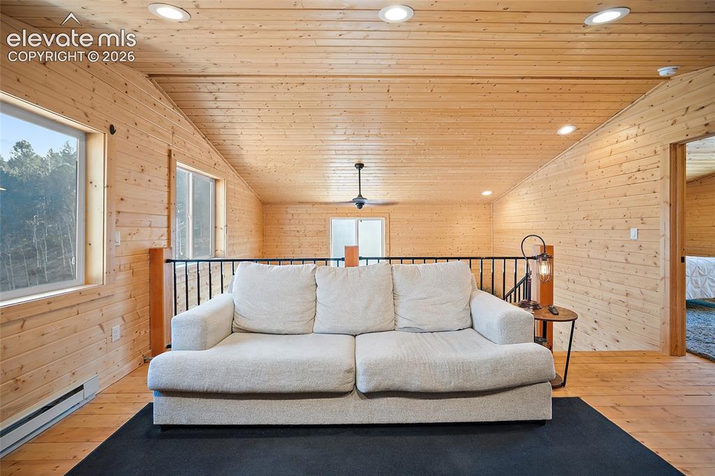 213 Willow Road Divide CO 80814