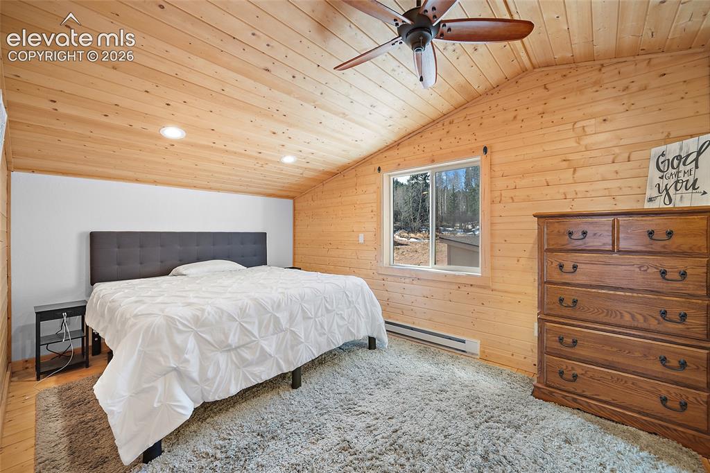 213 Willow Road Divide CO 80814