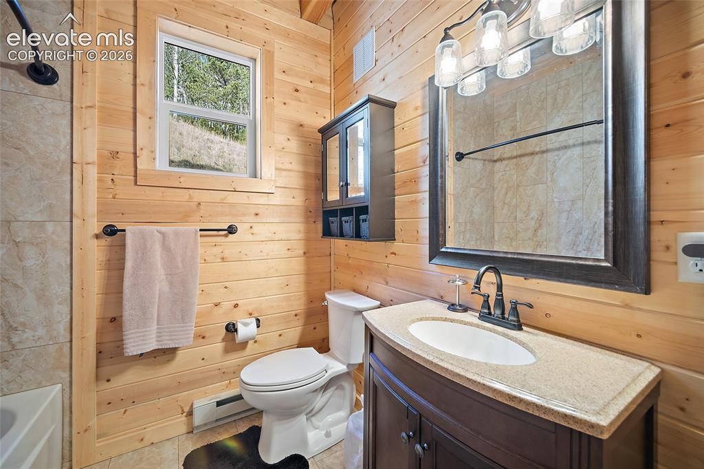 213 Willow Road Divide CO 80814