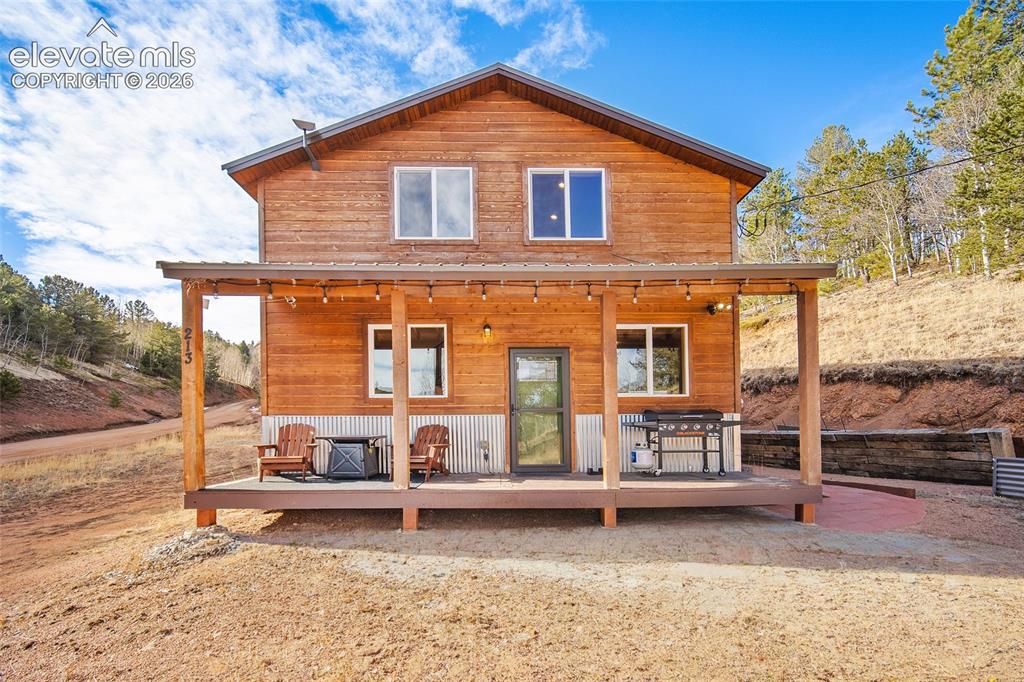 213 Willow Road Divide CO 80814