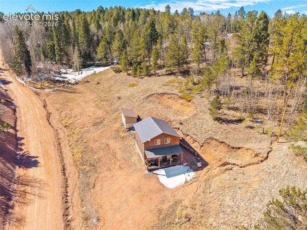 213 Willow Road Divide CO 80814