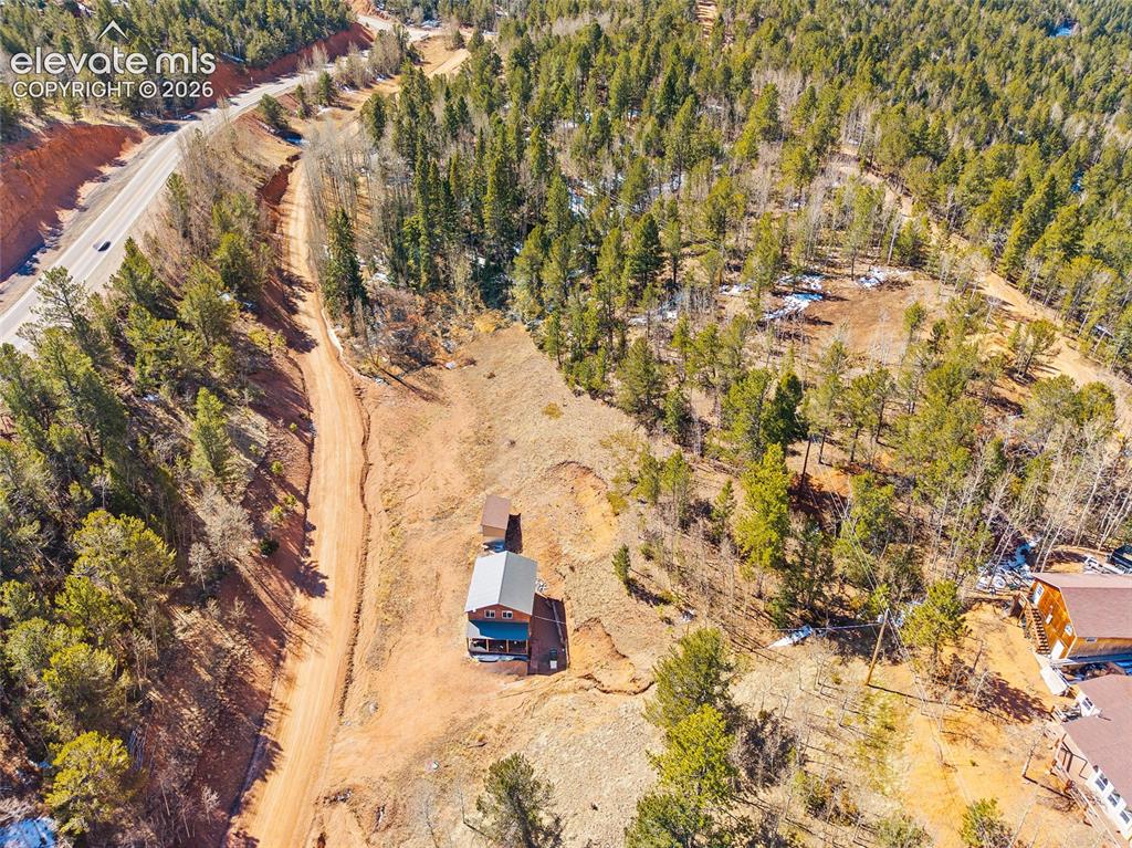 213 Willow Road Divide CO 80814