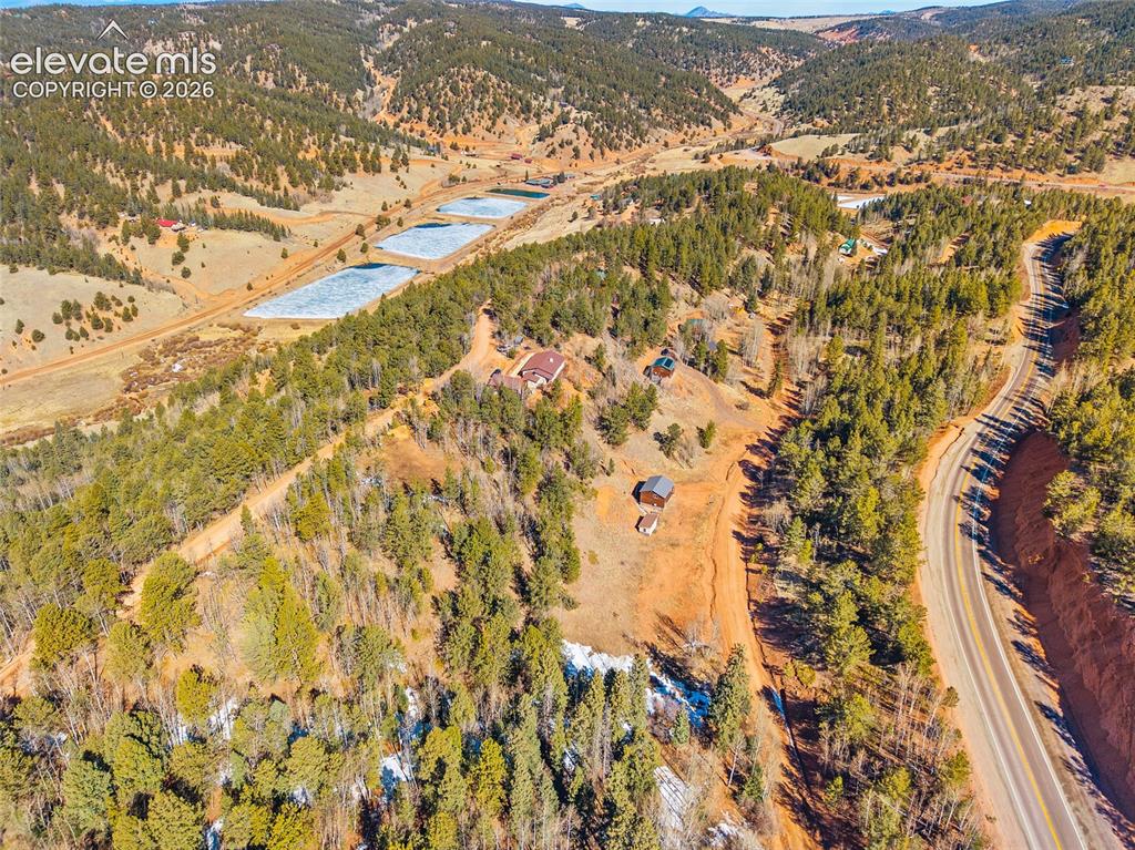 213 Willow Road Divide CO 80814
