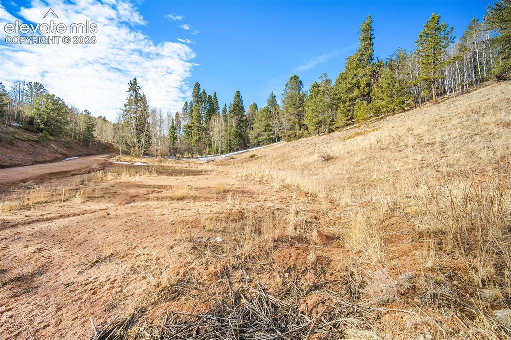 213 Willow Road Divide CO 80814