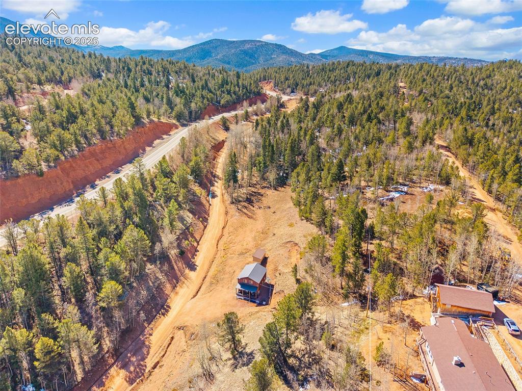 213 Willow Road Divide CO 80814
