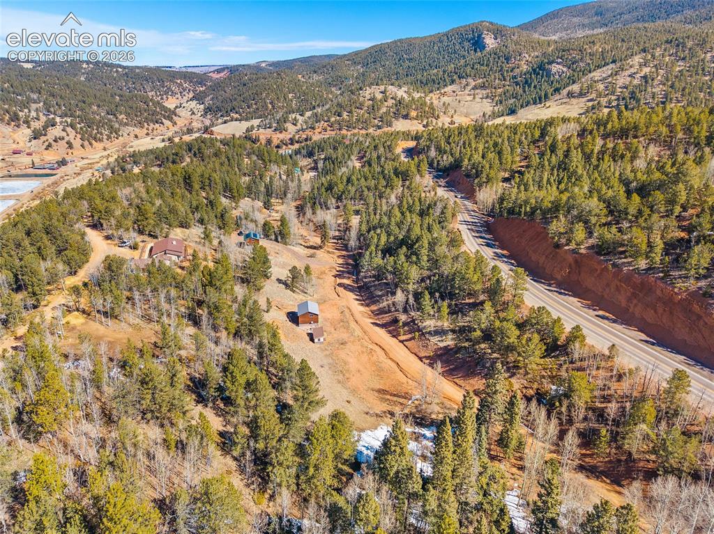 213 Willow Road Divide CO 80814